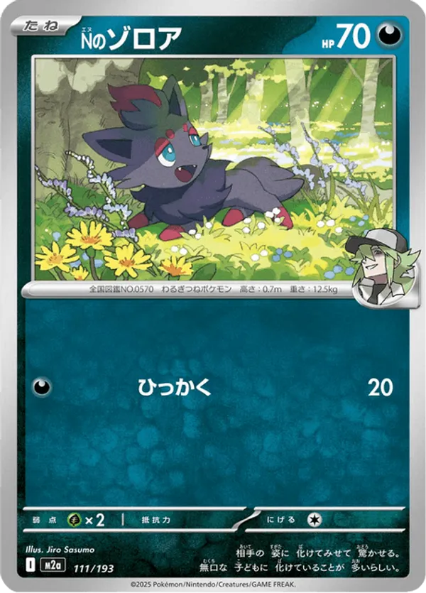 N's Zorua (Energy Symbol Pattern)