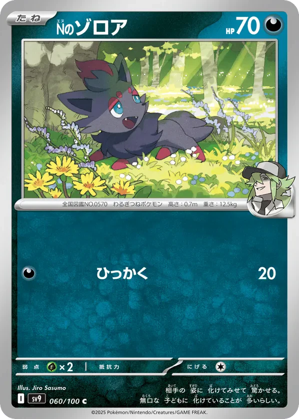 N's Zorua
