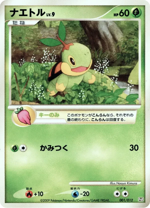 Turtwig