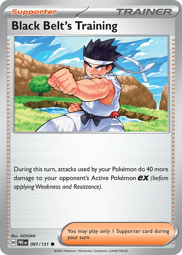 Black Belt's Training (Poke Ball Pattern)