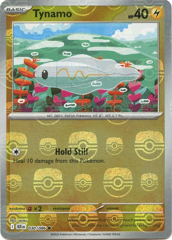 Tynamo (Master Ball Pattern)