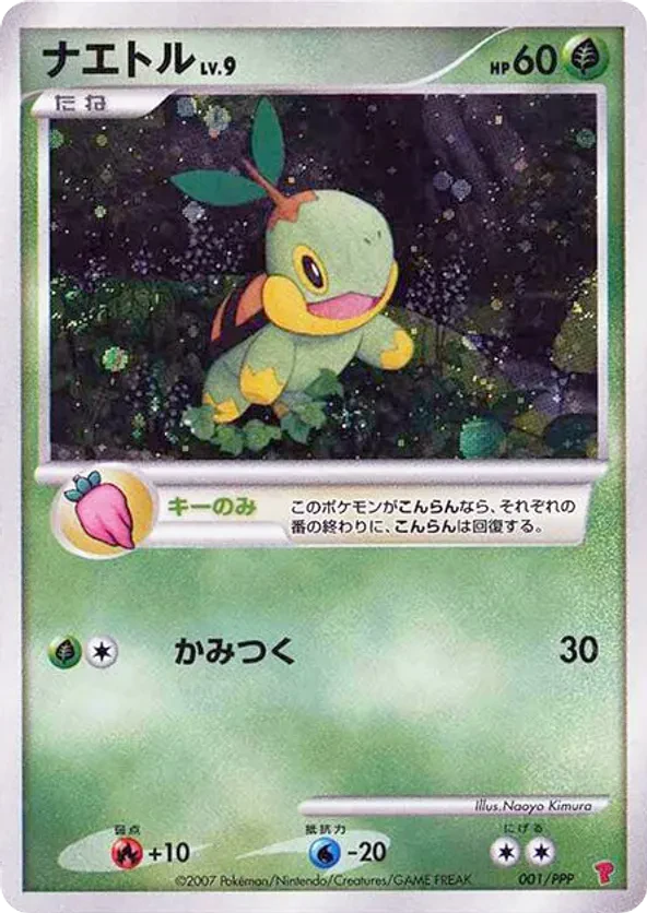 Turtwig