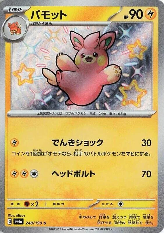 Pawmo - 248/190