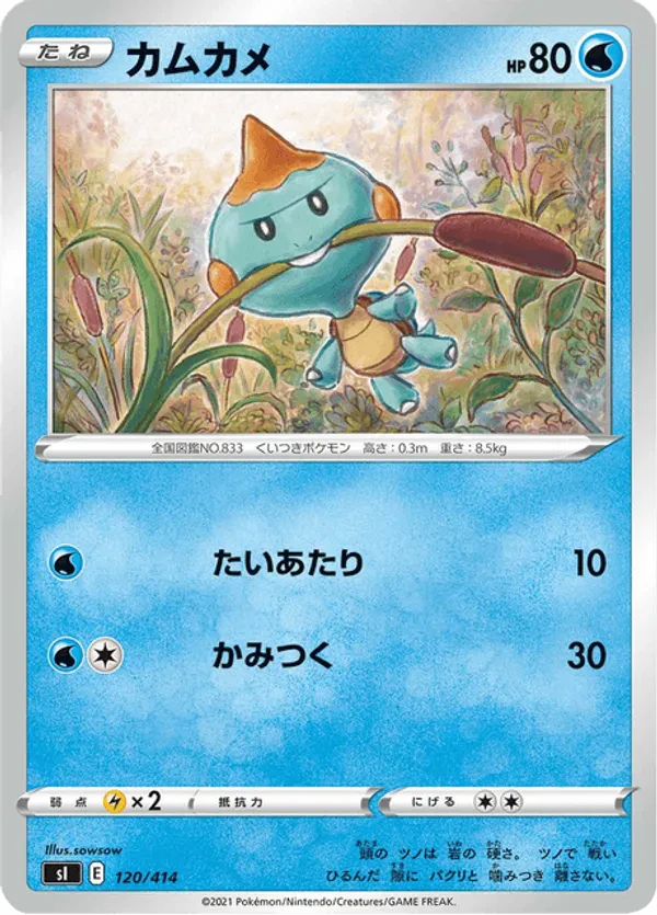 Chewtle (Mirror Holofoil)