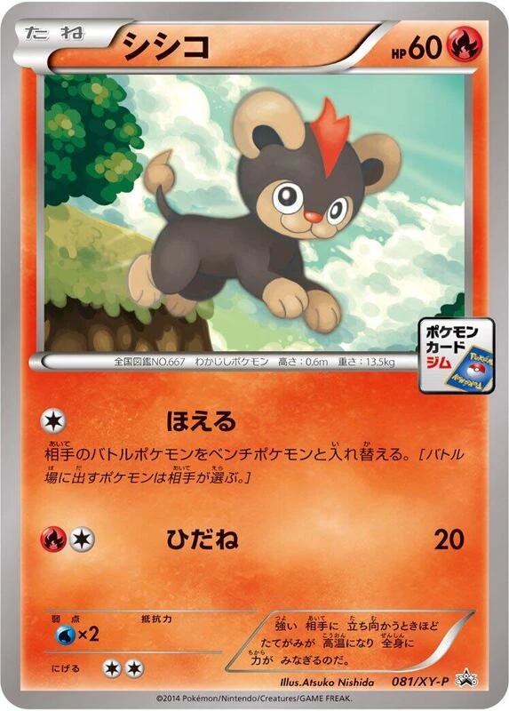 Litleo - 081/XY-P