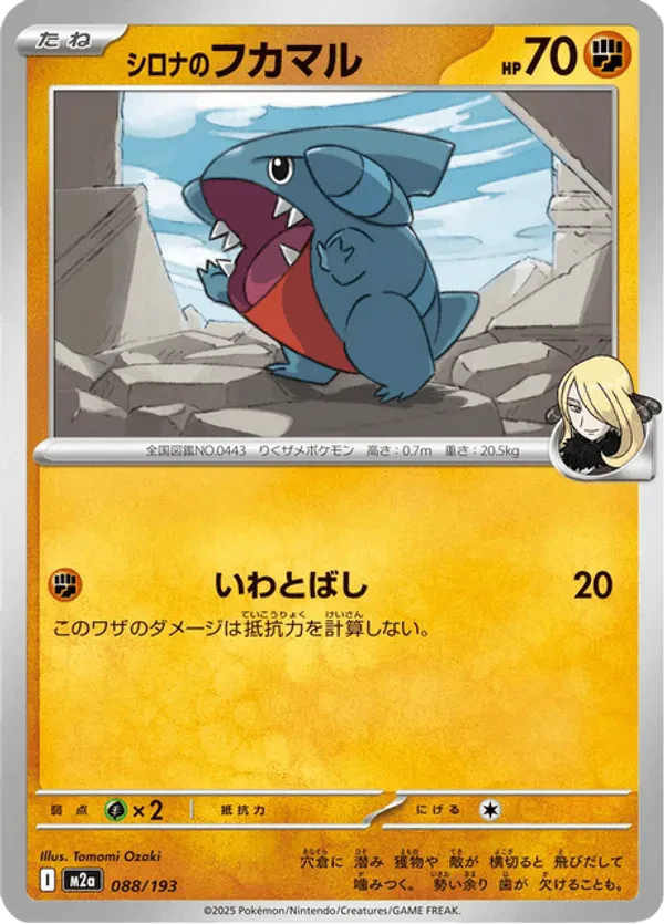 Cynthia's Gible (Energy Symbol Pattern)