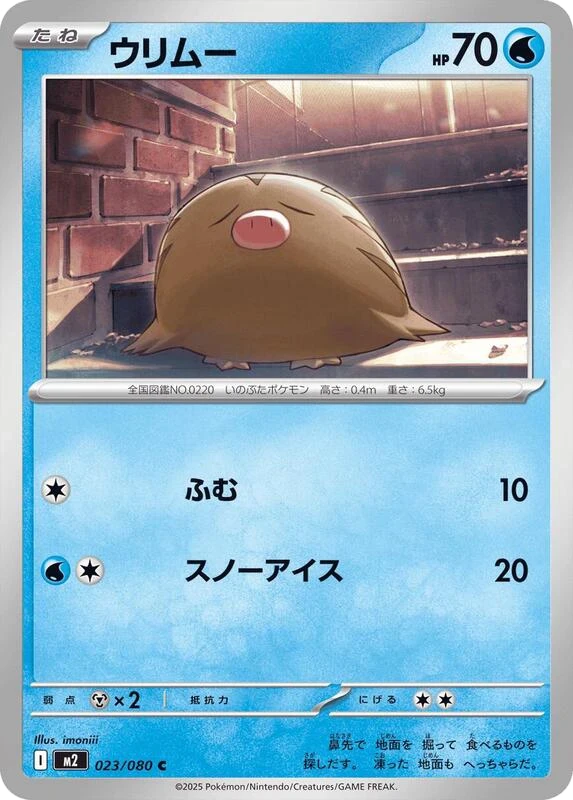 Swinub