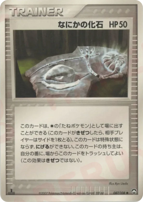 Mysterious Fossil