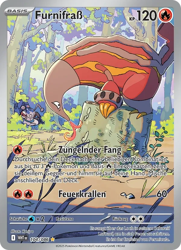 Furnifraß