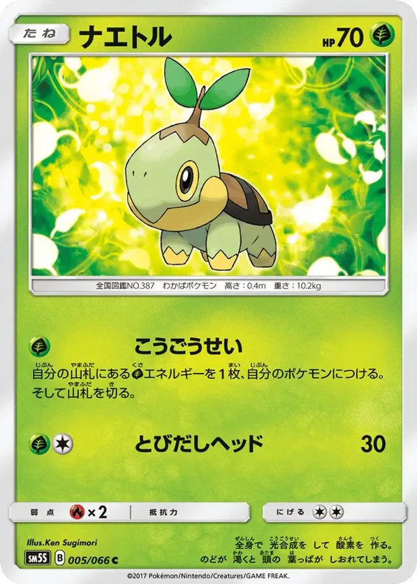 Turtwig