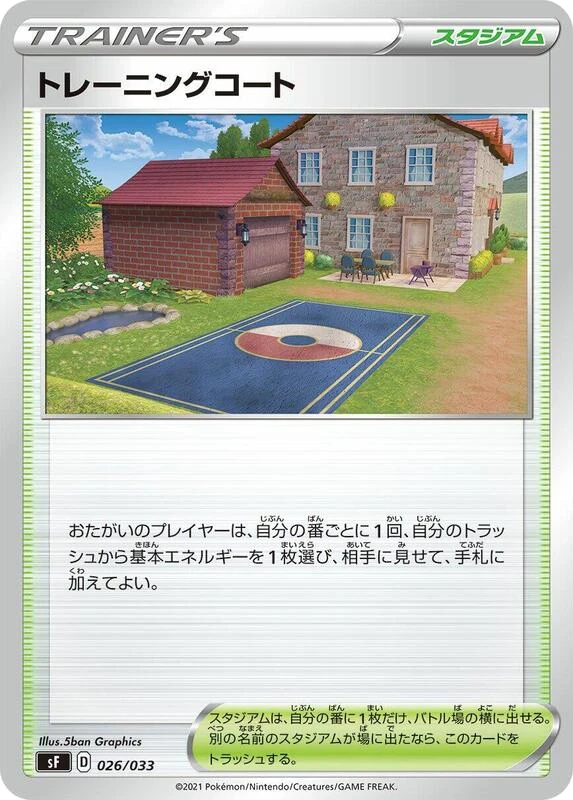 Training Court