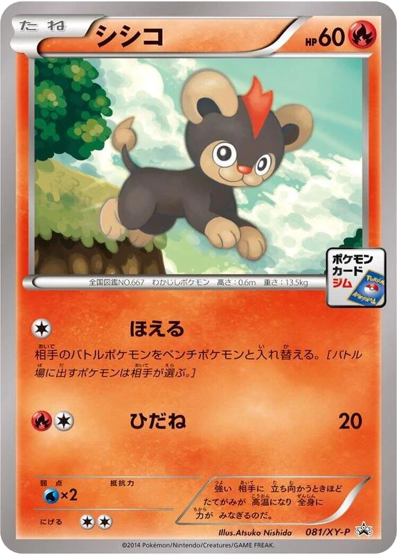 Litleo - 081/XY-P