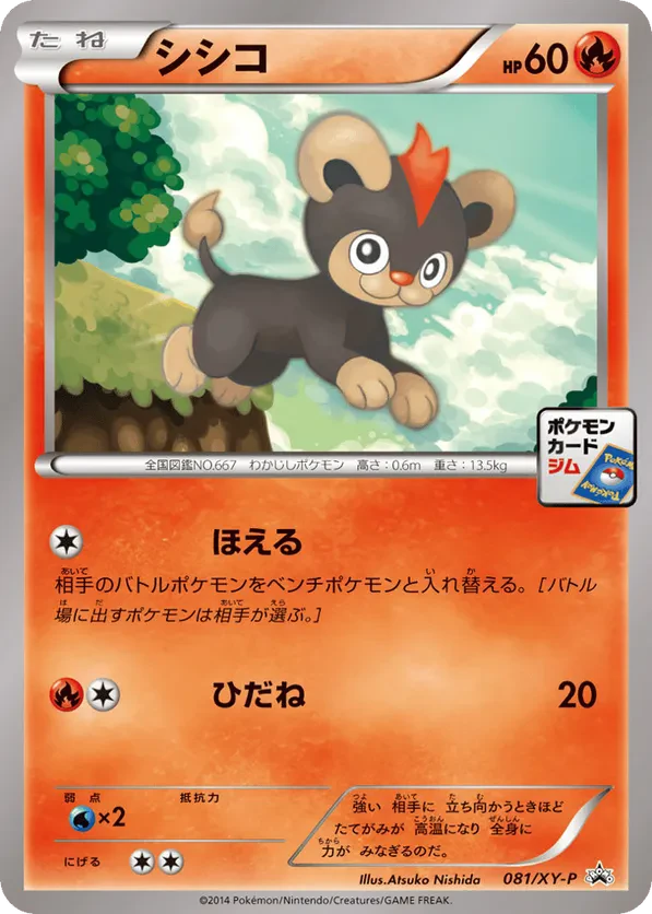 Litleo - 081/XY-P