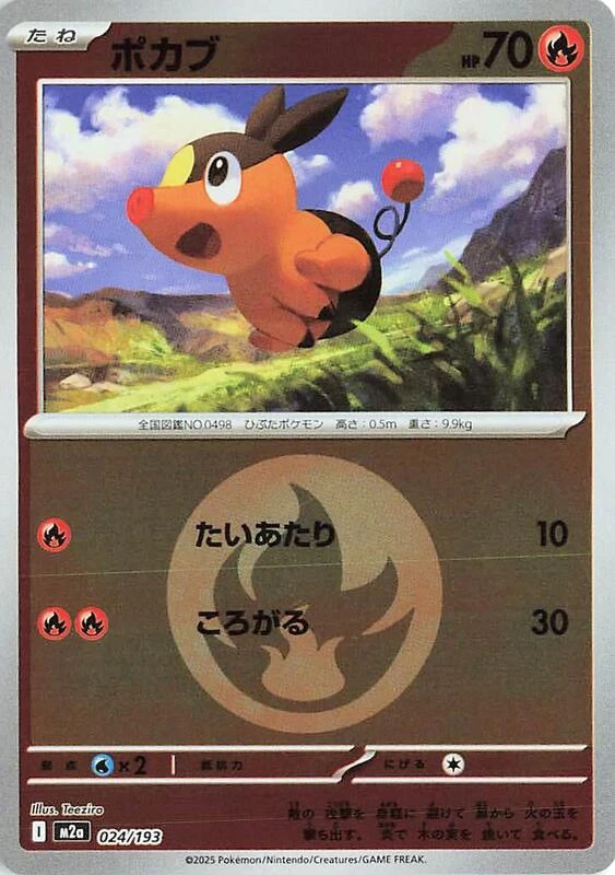 Tepig (Energy Symbol Pattern)