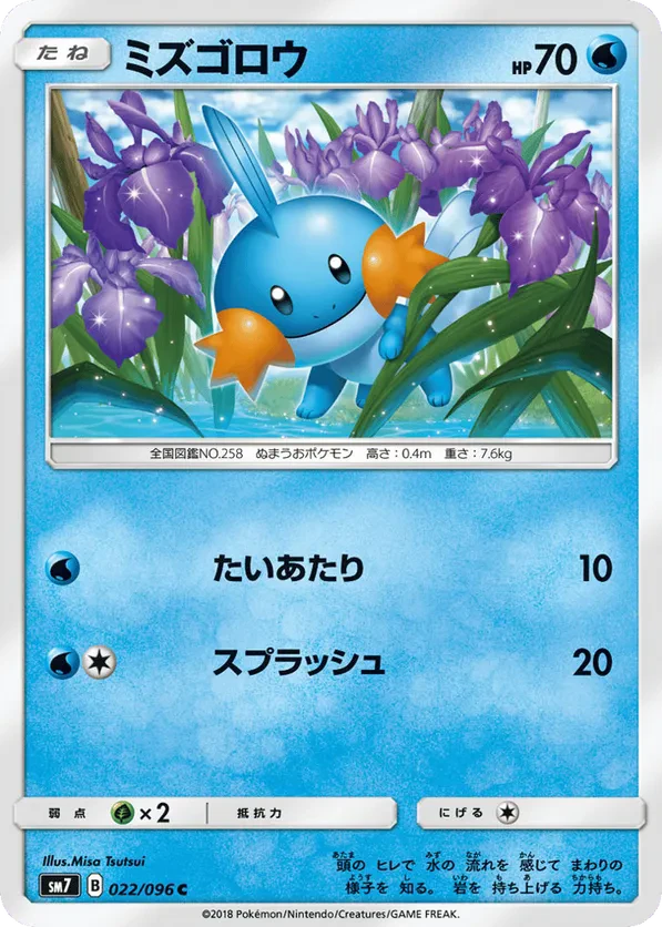 Mudkip