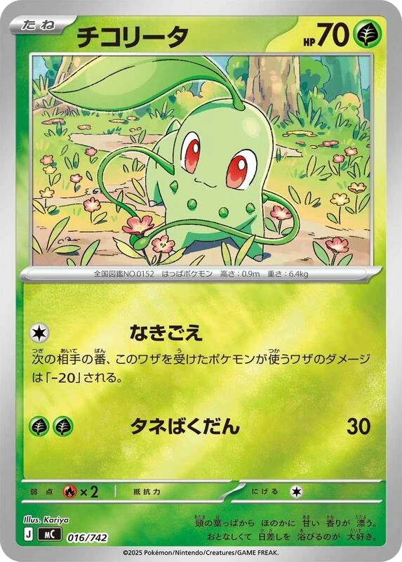 Chikorita (Mirror Holo)