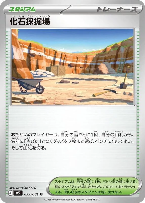 Fossil Excavation Site