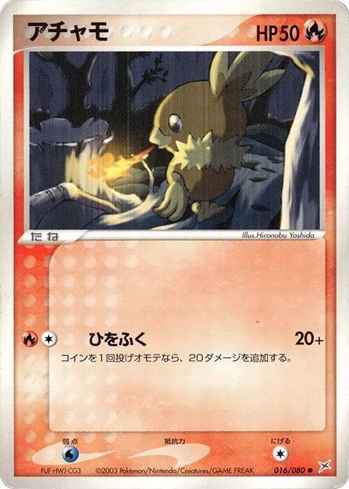 Torchic