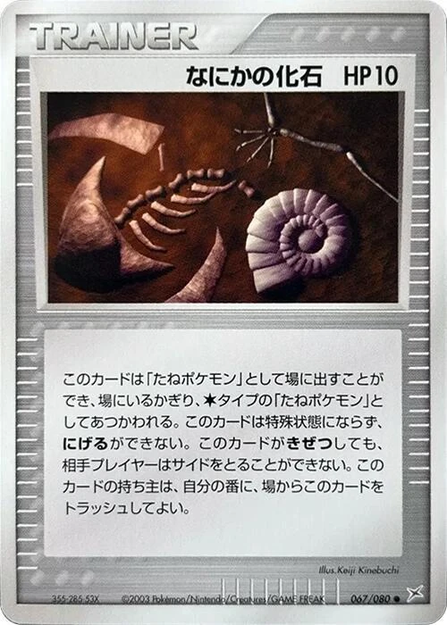 Mysterious Fossil
