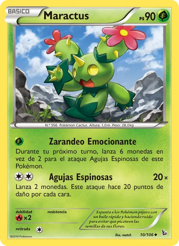 Maractus